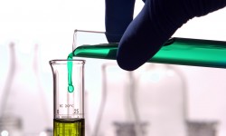 Suspendisse arcu nisl